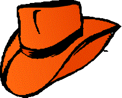 Picture of a Stetson